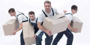 Movers and Packers Company